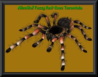 Oblivion Official Plugins Oblivion Official Plugins