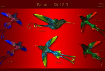 Paradise Bird 2.0