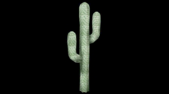 Momo's Cactus Ressource