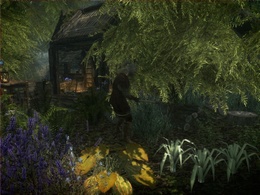 Anoriths Shack DV