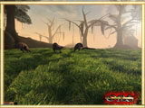 RPG-BlackDragons Morrowind-Grass-Resource 2.0