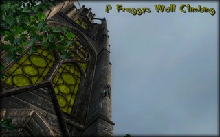 P-Froggys Wall Climbing