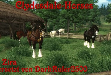 Zira's Clydsdale Horses DV
